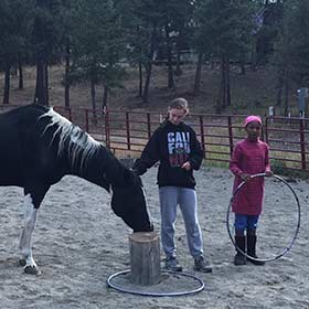 Equine Program
