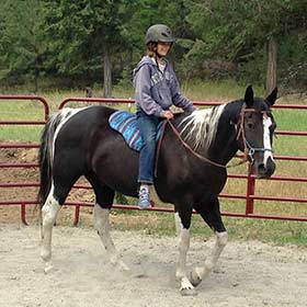 Equine Program