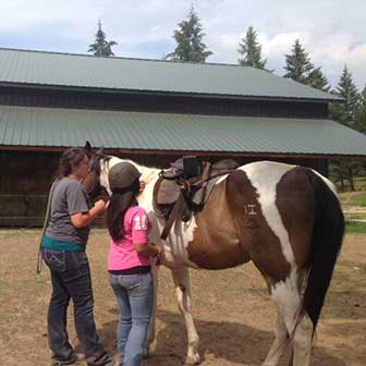 Equine Therapy